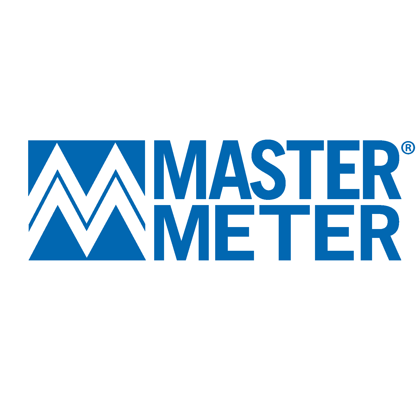 Master® Meter